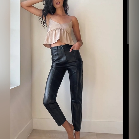 Aritzia Vegan Leather Pants - Picture 1 of 7